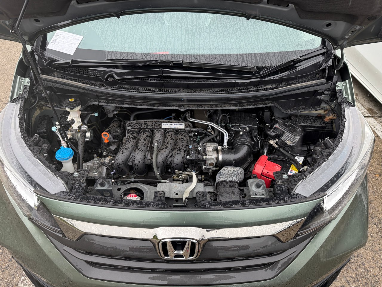 ⚓️ В порту
⏳ Время поиска: 10 дней
🏎 Honda Freed+
🗓 Год: 2021
🏃 Пробег: 39 000 км
🟣Оценка: 4.5 B
🔘Комплектация: 1.5 CROSSTAR Honda Sensing

💰Ориентировочная цена с доставкой во Владивосток **1 891 000 ₽**

✍️ [Для связи с нами пишите сюда!](https://t.me/JapanBus_bot)
📞**+7(495)-118-40-38**** **
➡️[Наш сайт](https://japan-bus.ru/)