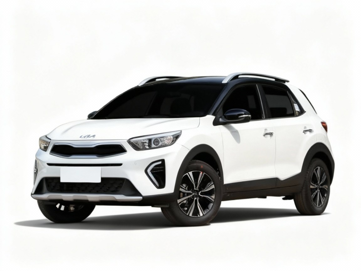 <b>Kia KX1</b>, 2025

1 750 000 р.

• Двигатель: 1.4л
• Топливо: бензин
• Привод: передний
