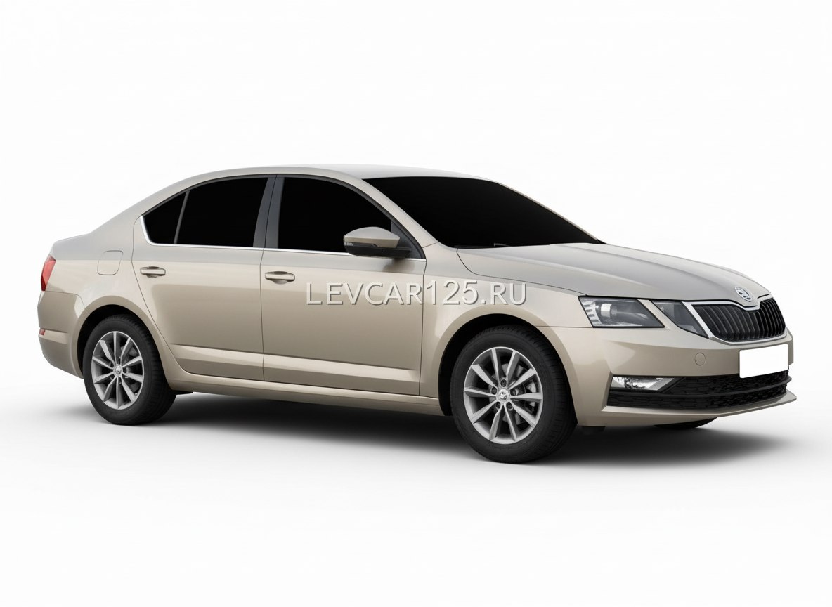 <b>Skoda Octavia</b>, 2022

1 705 000 ₽

35 000 км

• Двигатель: 1.5л
• Топливо: бензин
• Привод: передний
